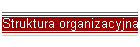 Struktura organizacyjna